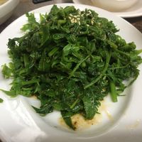 The fern salad - delicious dressing!  at Shan Hu in Sun Moon Lake