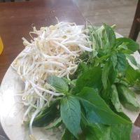 Beansprouts and leaves 4/10 came with the phố but too much man at Bach Thao in Can Tho