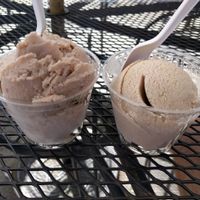 cashew vanilla and banana almond ice creams at The Juice in Los Angeles