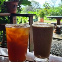  at Cafe Mono Congo in Dominical