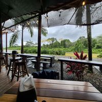  at Cafe Mono Congo in Dominical