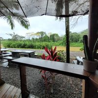 Aussenbereich mit Sicht auf den Fluss at Cafe Mono Congo in Dominical