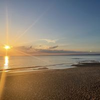  #Veganuary at Island Burger Bar in Cape Woolamai