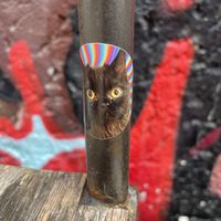   at Damn Burger in Ulm