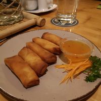 Spring rolls at Asia Van in Ulm