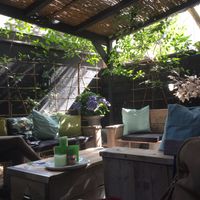 Outside Area  at Zest for Life in Amsterdam