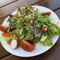 "Kleiner" Beilagensalat mit Essig-Öl-Dressing at Gasthaus Zum Anker in Efringen-kirchen