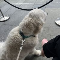   at Los Tacos in Bergen