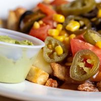 Mexican poutine (substitute for vegan cheese) at Poutineville in Quebec