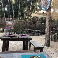 so cute  at Charly's Vegan Tacos - Food Truck in Tulum