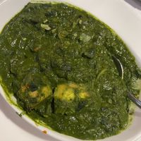   at Curry Leaves in Tampa