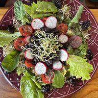   at Curcuma in El Chalten