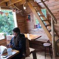 Inside  at Curcuma in El Chalten