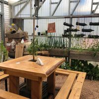 Greenhouse  at Curcuma in El Chalten
