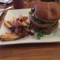 The seitan was over cooked & bland. The fries were dripping in grease at Root in Lancaster
