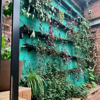 Beautiful decor at Make No Bones in Sheffield