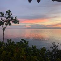  at Buzzz Cafe in Panglao