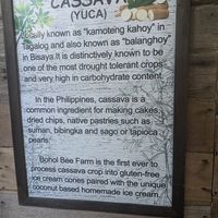  at Buzzz Cafe in Panglao