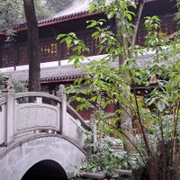 #Veganuary at Wenshu Temple Restaurant 心香 in Chengdu