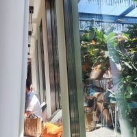  at Hiltl - Dachterrasse in Zurich