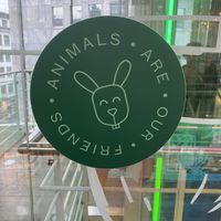   at Hiltl - Dachterrasse in Zurich