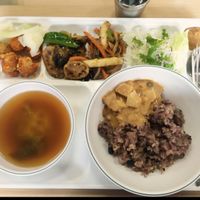 buffet at Seoul National University Vegan Buffet 서울대학교 채식뷔페 in Seoul