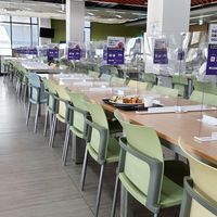 seating space - individual seats with screens because of Covid at Seoul National University Vegan Buffet 서울대학교 채식뷔페 in Seoul