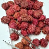 fruit for dessert: frozen rambutan at Seoul National University Vegan Buffet 서울대학교 채식뷔페 in Seoul