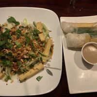 Veg salad and veg spring rolls.  at Pho Saigon in Indianapolis