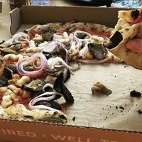 Vegan mushroom and onion pizza!   at Pizza Barbone in Hyannis