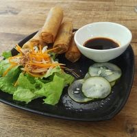 very tasty spring rolls at Annen Vegetarian & Yoga in Hoi An