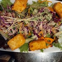 Fried tofu and salad at Tokyo Dumpling in Cairns