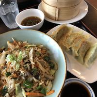 Vegan stir fry ramen and vegan dumplings at Tokyo Dumpling in Cairns