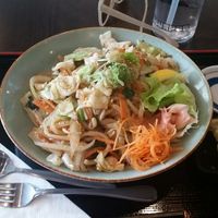 Vegan teriyaki udon and 3 vegan dumplings at Tokyo Dumpling in Cairns