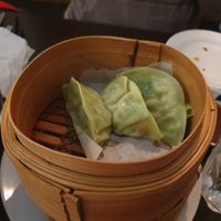 .dumplings at Tokyo Dumpling in Cairns