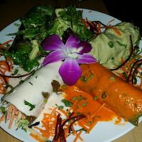 trio of enchiladas. pretty and tasty at 118 Degrees in Tarzana