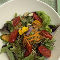Salad  at The Peggy Guggenheim Collection in Venice
