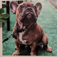 Bathroom art at Crushed in San Diego