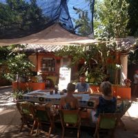Lunch in the courtyard. Very relaxing! at Casita Ecovegana de Zihuatanejo Cooperativa in Zihuatanejo
