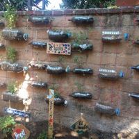 Herb garden at Casita Ecovegana de Zihuatanejo Cooperativa in Zihuatanejo