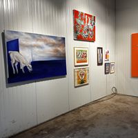   at Bioboer Busschots in Koningshooikt