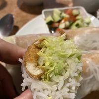 Tofu spring rolls  at Indochine in Sierra Vista