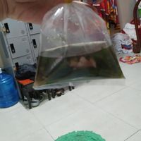 Mushroom and green vegetables soup at Dinh Y in Ho Chi Minh City