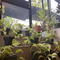   at Youmiko Vegan Sushi - Hoża in Warsaw