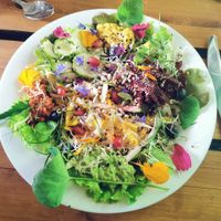 All the veggies at Alge in Moenchengladbach