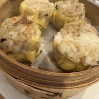 Sticky Rice Shu Mai  at Taiwan Noodle in Albany