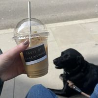   at Taste of Shrewsbury in Shrewsbury