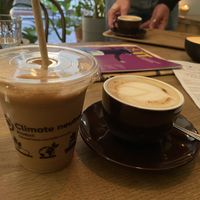   at Ginko - Greenhouse in Graz