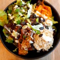  at Ginko - Greenhouse in Graz