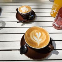  at Ginko - Greenhouse in Graz